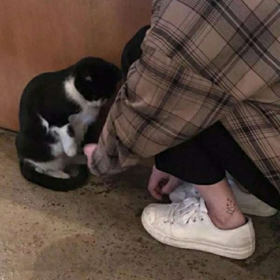 三星官宣AI永久免费 旗舰新机细节全曝光